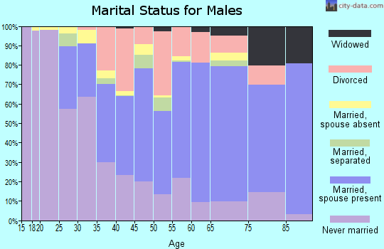 Zip code 61102 marital status for males