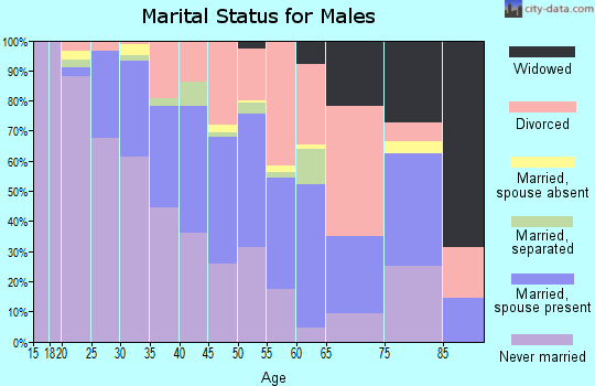 Zip code 61104 marital status for males