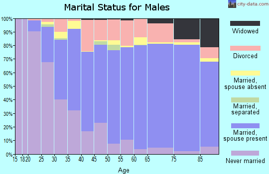 Zip code 61107 marital status for males