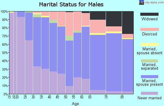 Zip code 61108 marital status for males