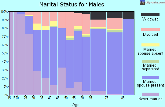 Zip code 61109 marital status for males