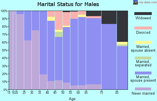Zip code 61114 marital status for males