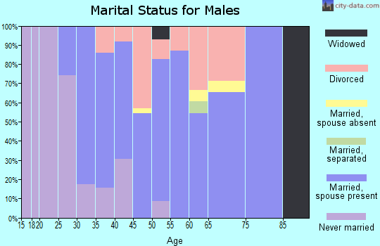 Zip code 61234 marital status for males