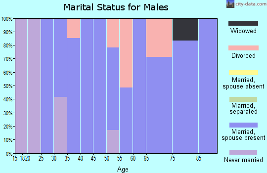 Zip code 61263 marital status for males