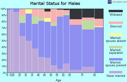 Zip code 61264 marital status for males