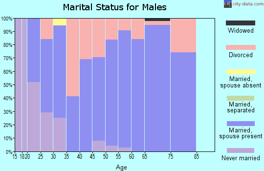 Zip code 61272 marital status for males