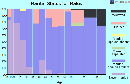 Zip code 61273 marital status for males