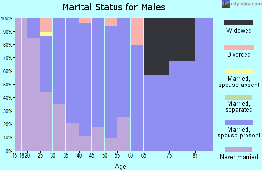 Zip code 61283 marital status for males