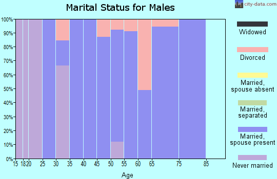 Zip code 61284 marital status for males