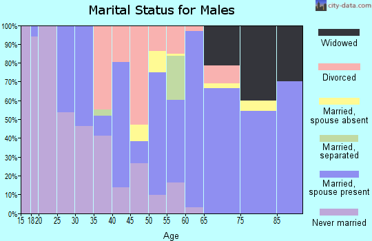 Zip code 61285 marital status for males