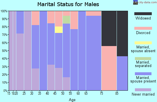 Zip code 61312 marital status for males