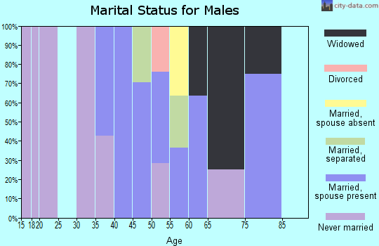 Zip code 61315 marital status for males