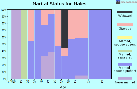 Zip code 61317 marital status for males
