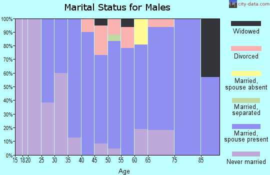 Zip code 61325 marital status for males