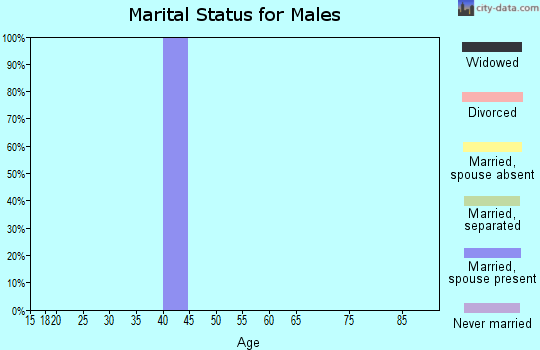 Zip code 61328 marital status for males