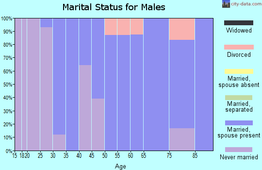 Zip code 61337 marital status for males