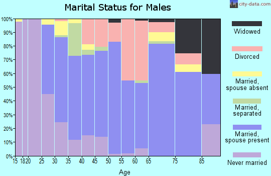 Zip code 61341 marital status for males