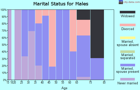 Zip code 61344 marital status for males