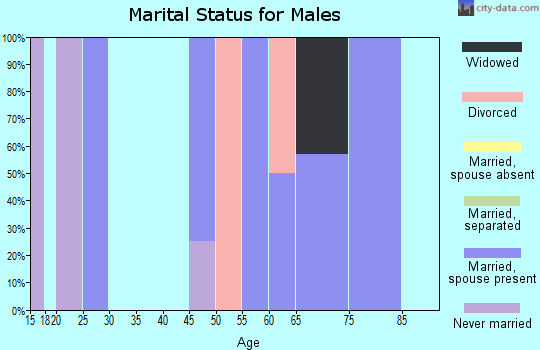 Zip code 61346 marital status for males