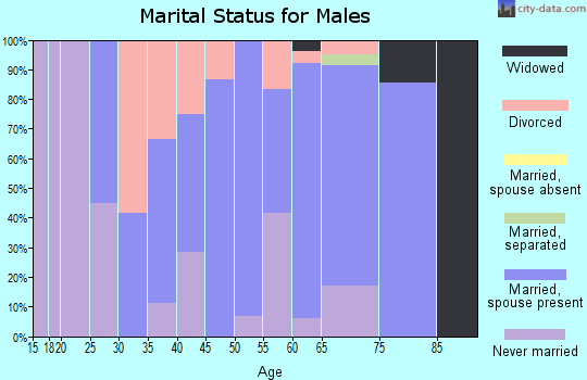 Zip code 61349 marital status for males