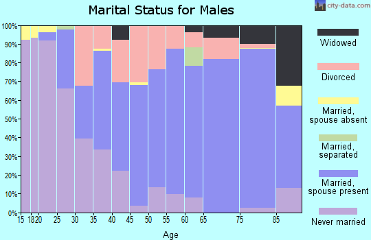 Zip code 61356 marital status for males