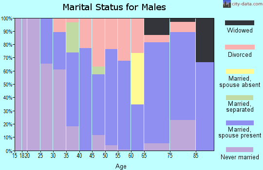 Zip code 61360 marital status for males