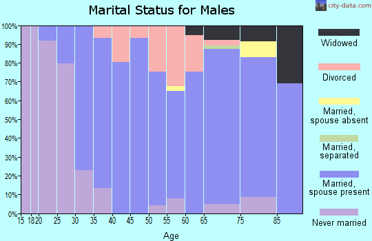 Zip code 61373 marital status for males
