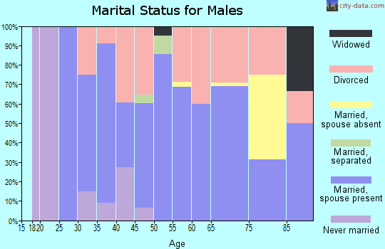 Zip code 61375 marital status for males