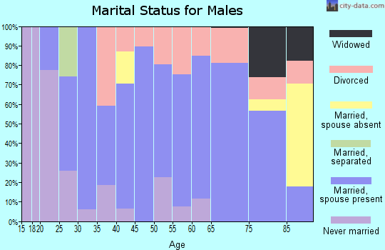 Zip code 61376 marital status for males