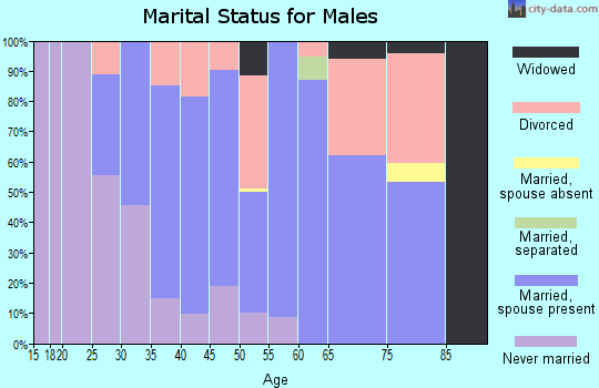 Zip code 61377 marital status for males