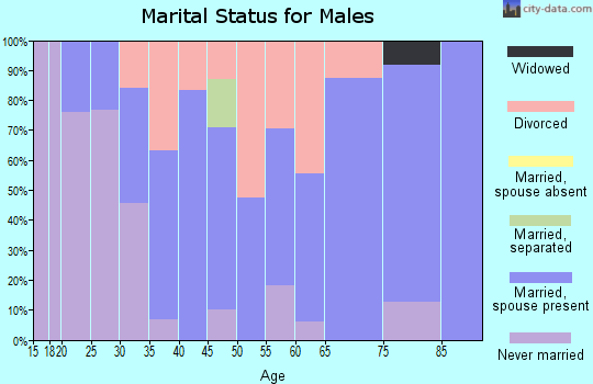 Zip code 61379 marital status for males