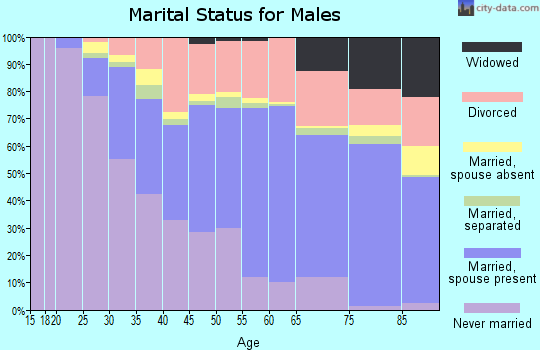 Zip code 61401 marital status for males