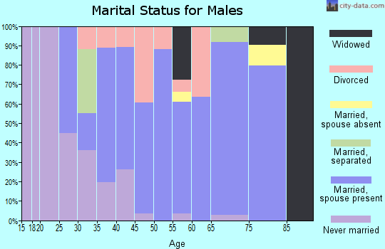 Zip code 61410 marital status for males