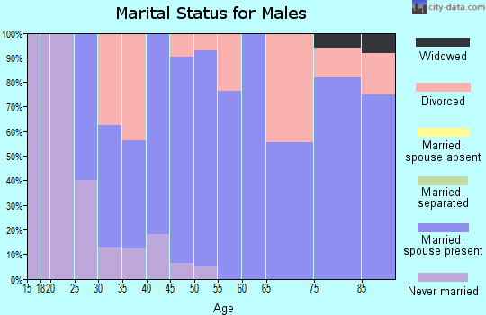 Zip code 61412 marital status for males