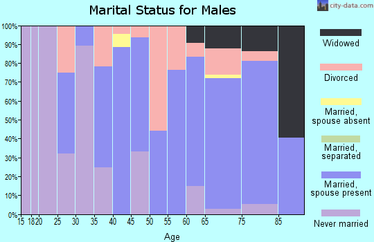 Zip code 61415 marital status for males