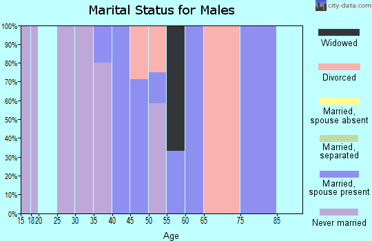 Zip code 61416 marital status for males