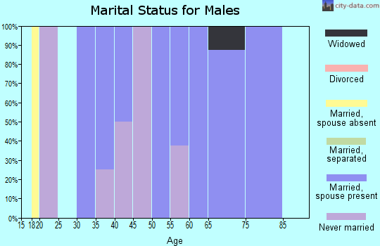 Zip code 61419 marital status for males