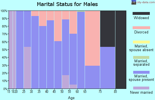 Zip code 61437 marital status for males