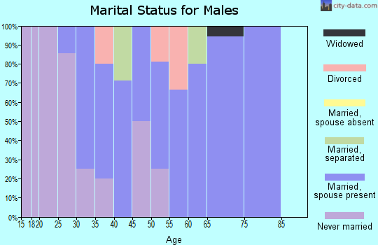 Zip code 61439 marital status for males