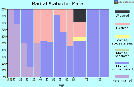 Zip code 61447 marital status for males