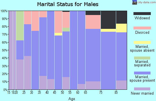 Zip code 61450 marital status for males