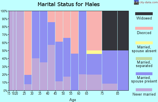 Zip code 61453 marital status for males
