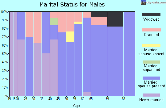 Zip code 61454 marital status for males