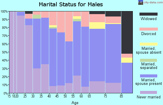 Zip code 61455 marital status for males