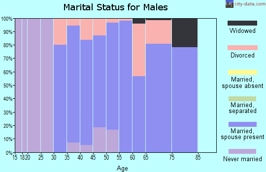 Zip code 61458 marital status for males