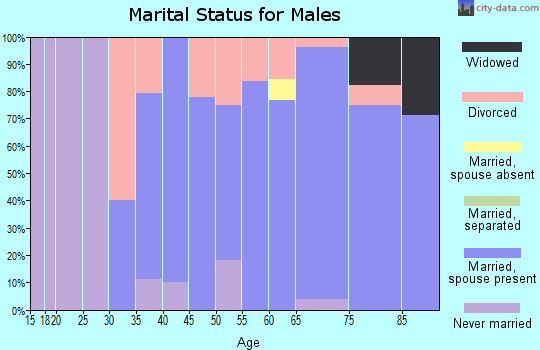Zip code 61467 marital status for males