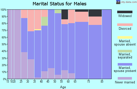 Zip code 61469 marital status for males