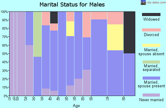 Zip code 61470 marital status for males