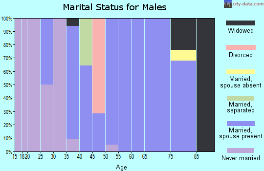 Zip code 61472 marital status for males