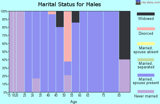 Zip code 61476 marital status for males